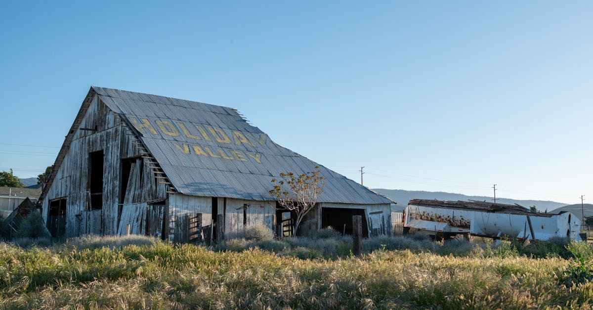 Design Considerations for Green Roofs in Australian Climates